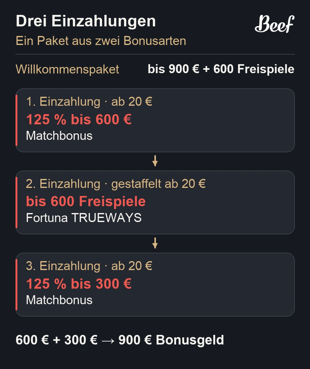 Die drei Einzahlungen des Beef-Willkommenspakets
